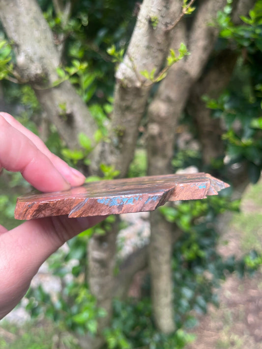 Turkish Rhyolite Agate