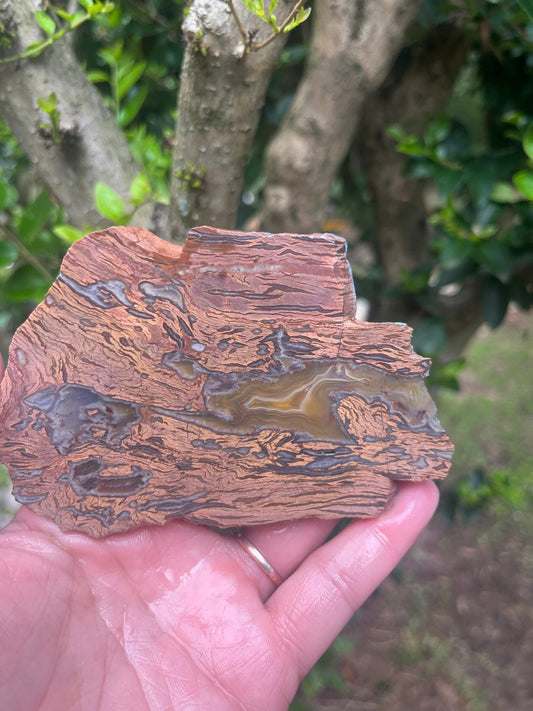 Turkish Rhyolite Agate