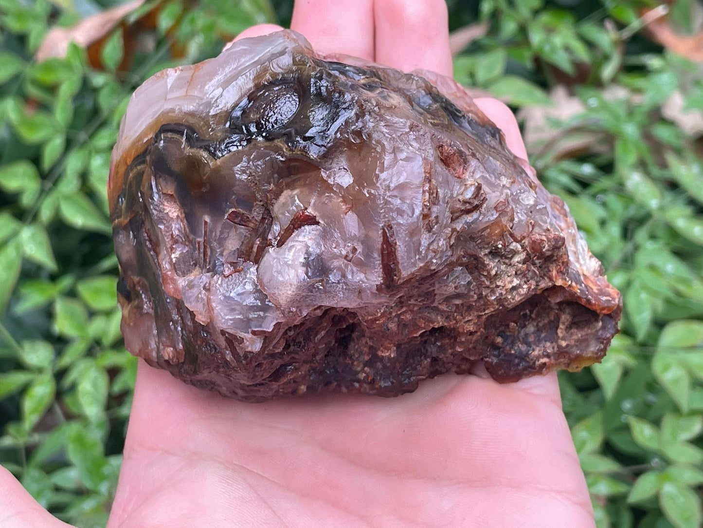 Turkish Agate