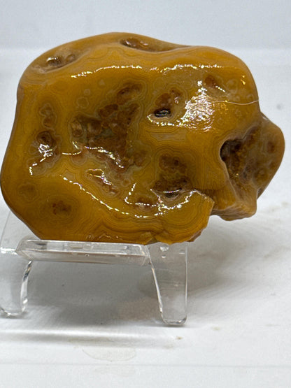 Honeycomb Heartbeat -  2.8 oz Mississippi Agate with Unique Botryoidal Texture